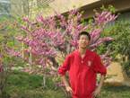 sunwenjie